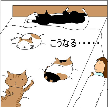 ネコちゃんが眠っているから