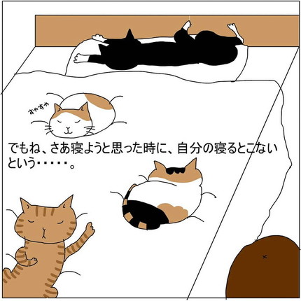 布団を占拠する猫