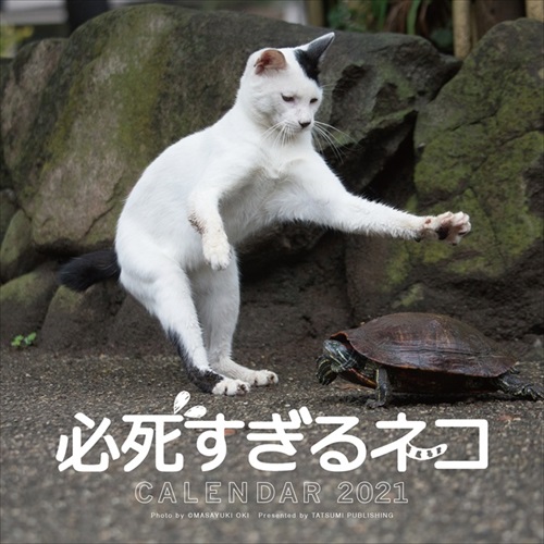 必死すぎるネコ カレンダー