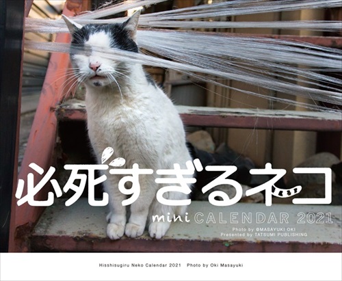 必死すぎるネコ カレンダー