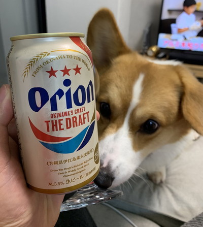 オリオンビールとともに