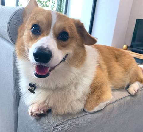 お気に入りの場所