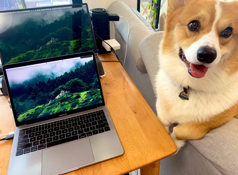 お気に入りの場所