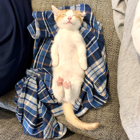 爆睡もち丸さん