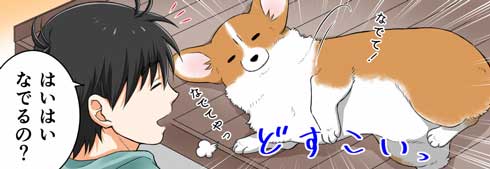 飼い主さん 外泊 コーギー 関所 我が家 犬 漫画 西田理英