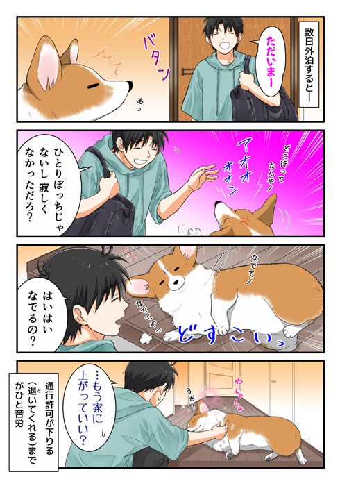 飼い主さん 外泊 コーギー 関所 我が家 犬 漫画 西田理英