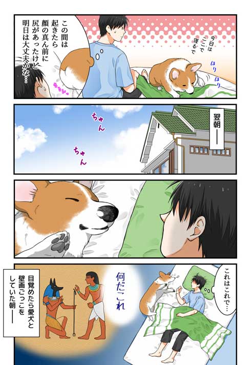 飼い主さん 外泊 コーギー 関所 我が家 犬 漫画 西田理英