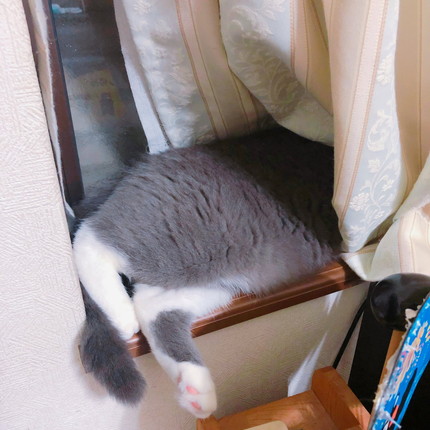 箱とひのでくん