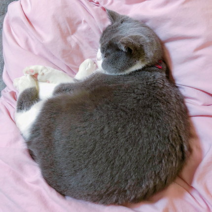 箱とひのでくん