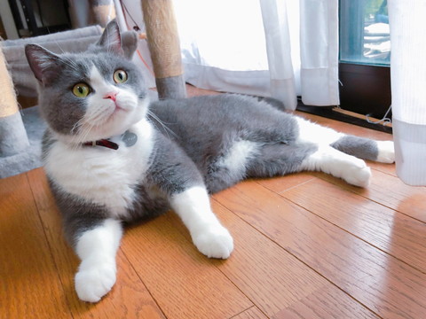 箱とひのでくん