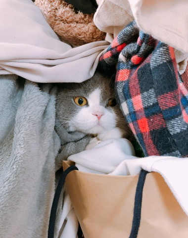 箱とひのでくん