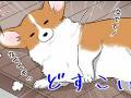 コーギー「ナデナデしないと通しません！」　数日ぶりに会った飼い主に甘えるコーギーの漫画が癒やされる
