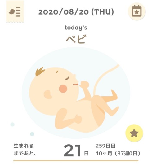 ニッチェ 江上敬子 スクワット 正産期