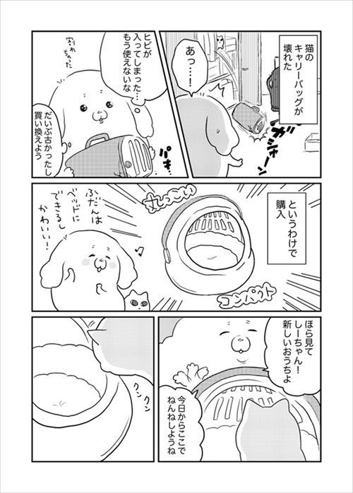 箱が好きな猫ちゃん