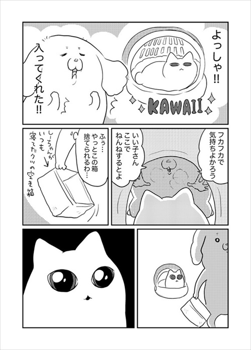 箱が好きな猫ちゃん