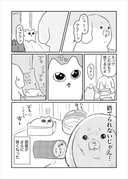 箱が好きな猫ちゃん