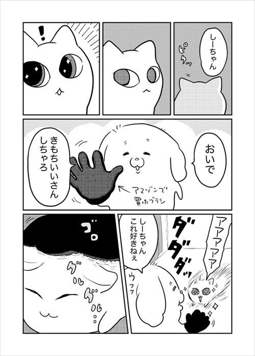 箱が好きな猫ちゃん