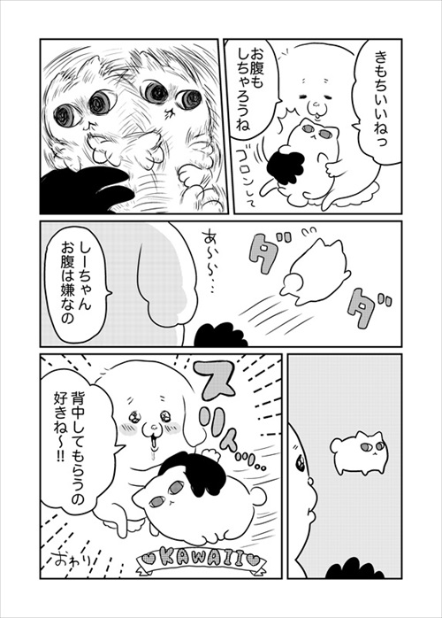 箱が好きな猫ちゃん