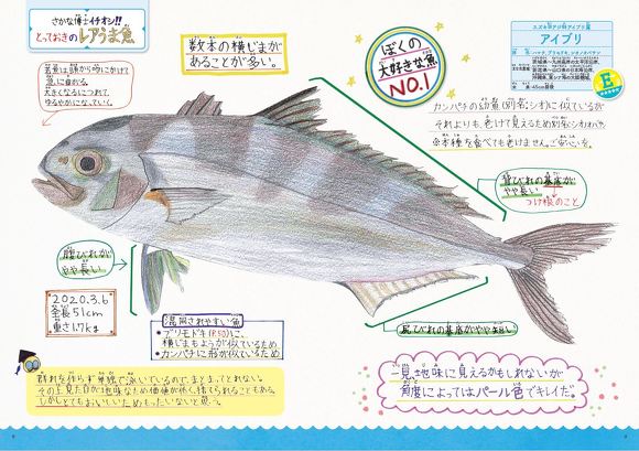 レアうま魚図鑑