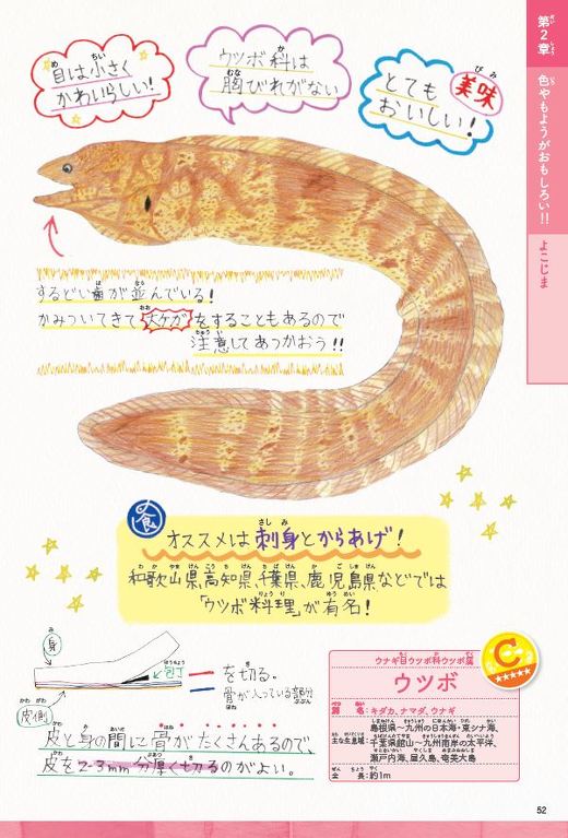 レアうま魚図鑑