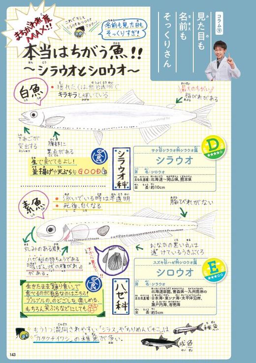 レアうま魚図鑑