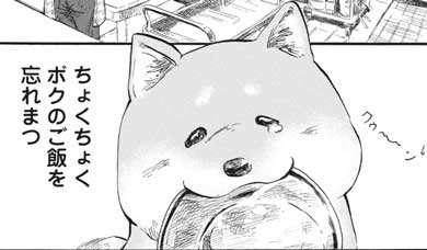 漫画 柴ばあと豆柴太 ヤマモトヨウコ 震災 3.11