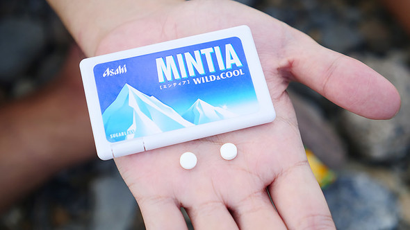 ミンティア