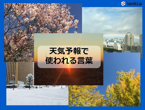 天気予報
