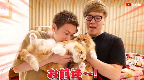 佐藤健 ヒカキン まるお