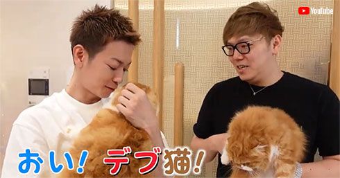 佐藤健 ヒカキン まるお