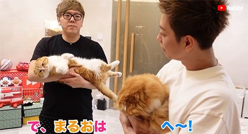 佐藤健 ヒカキン まるお