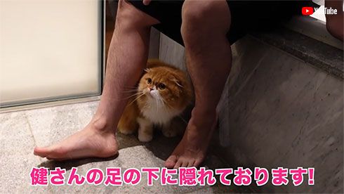 佐藤健 ヒカキン まるお もふこ