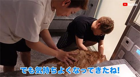 佐藤健 ヒカキン まるお もふこ