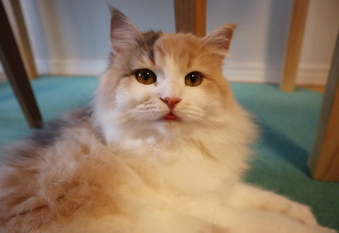 手で遊んじゃう