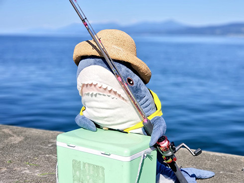 たくさん釣れるかな？　ベテラン釣り師の風格ただようIKEAのサメがかわいい