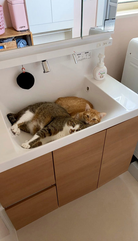 洗面台にいるメンズ