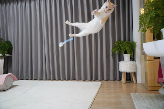 ゴールキーパー