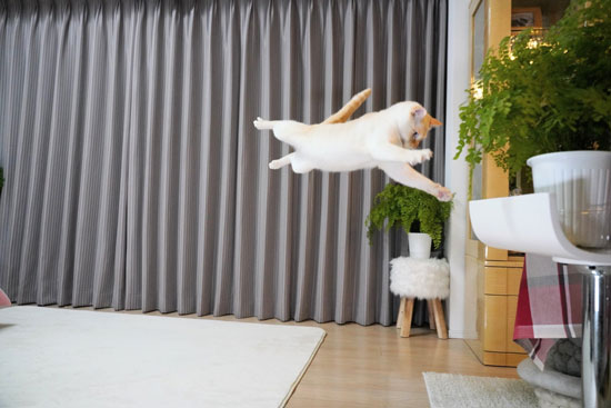 ゴールキーパー2