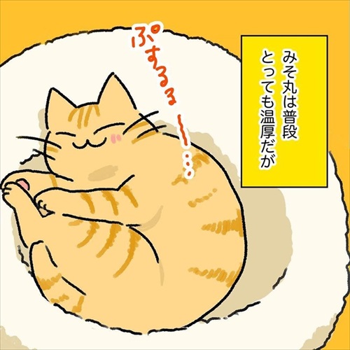 猫ちゃんの野生を引き出す方法