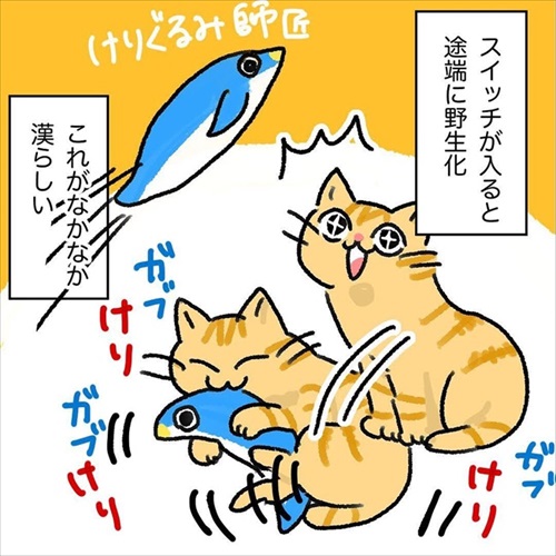 猫ちゃんの野生を引き出す方法