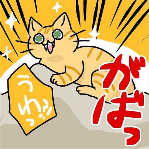 猫ちゃんの野生を引き出す方法