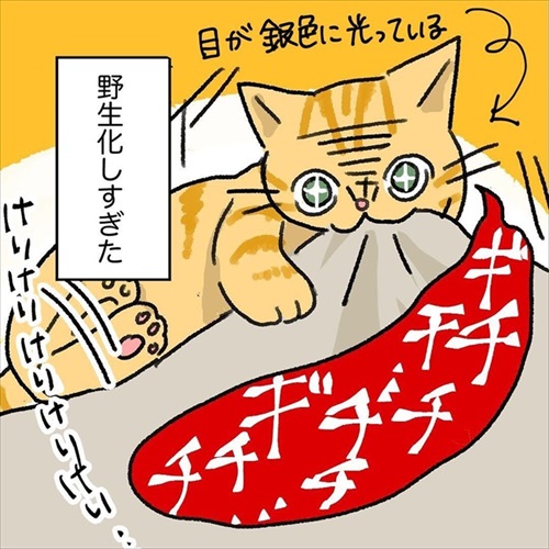 猫ちゃんの野生を引き出す方法