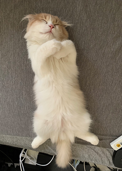 叶いまちぇんさん