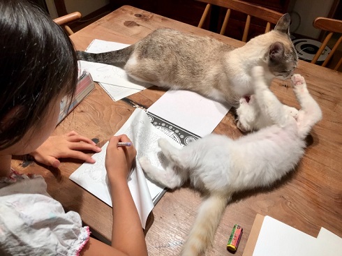 ういろう いなり 猫 お絵描き