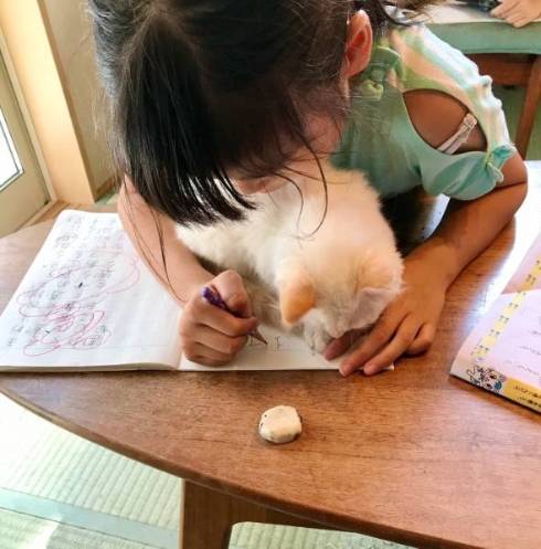 ういろう いなり 猫 お絵描き