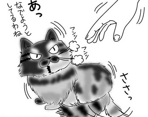 猫 夫がなでる 態度 違う メスネコ 漫画