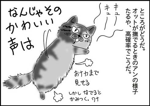 猫 夫がなでる 態度 違う メスネコ 漫画