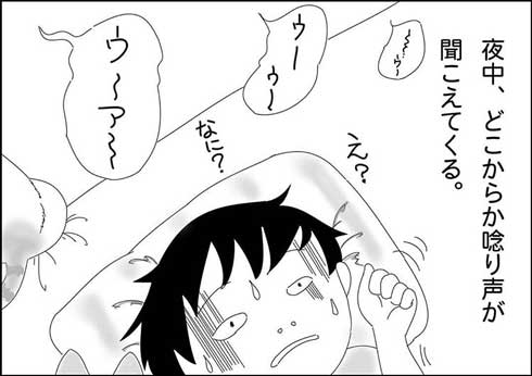 猫 夫がなでる 態度 違う メスネコ 漫画