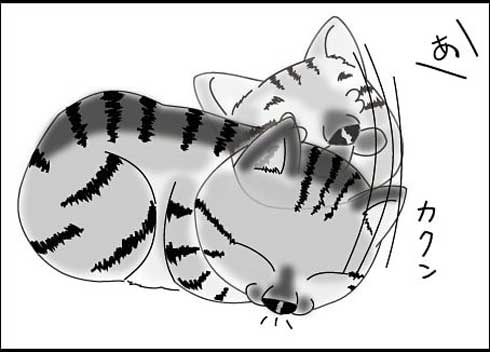 猫 夫がなでる 態度 違う メスネコ 漫画