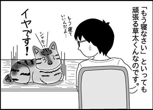 猫 夫がなでる 態度 違う メスネコ 漫画